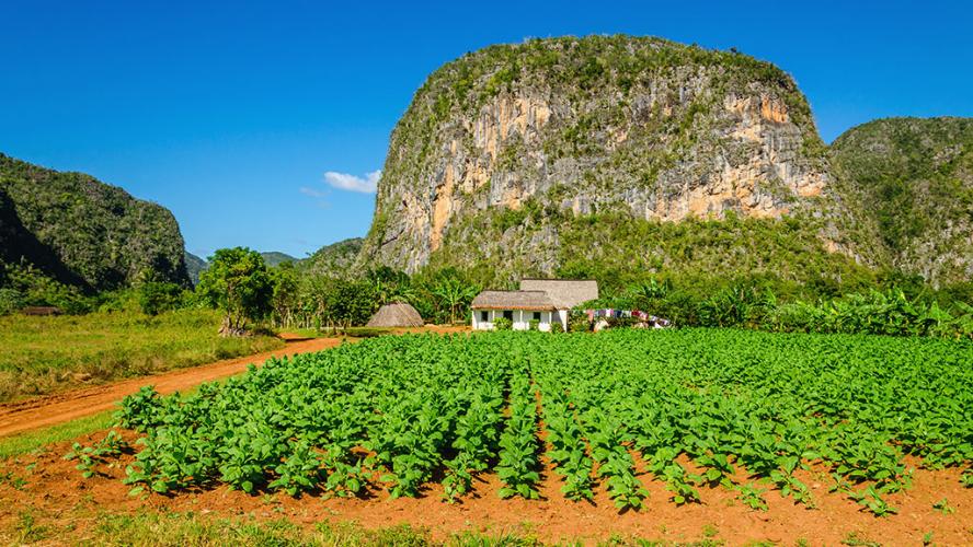 Vinales