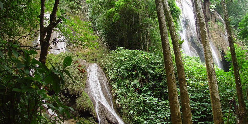 Parque Guanayara